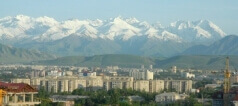 Торговая недвижимость в Киргизии