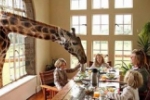 Завтрак с жирафами в отеле Кении.